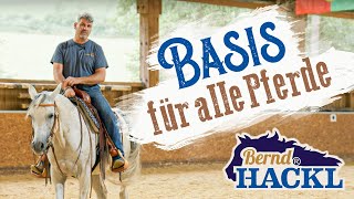 Die Basis für alle Pferde  Bernd Hackl erklärt 🐴 [upl. by Enneibaf]