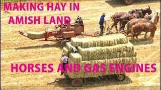 Making HAY with the AMISH in Lancaster County PACutting Raking and Baling in AMISH LAND [upl. by Gallenz344]