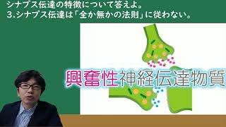 シナプス伝達の特徴【解剖生理学・形態機能学 神経系基礎】 [upl. by Karab]