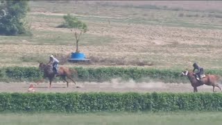 5 Furlong Gate Practice New Horse in Lahore Race Club [upl. by Wieren]