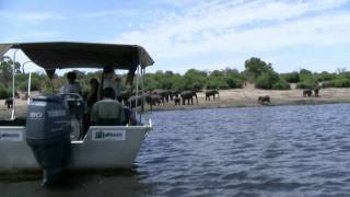 Elephant Valley Lodge  Chobe  Botswanampeg [upl. by Gemperle]