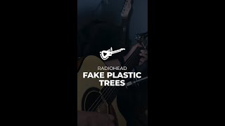 Radiohead  Fake Plastic Trees acoustic cover [upl. by Clay]