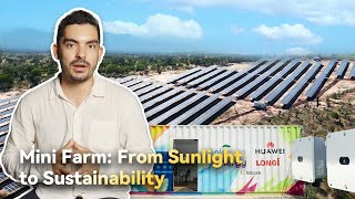 Mini Farm From Sunlight to Sustainability [upl. by Hagerman]