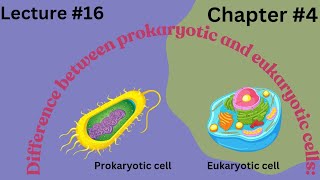 Difference between prokaryotic and eukaryotic cells 9 class  Lec  16  chp 4 cells and tissues [upl. by Dessma]