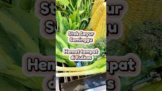 Cara Stok Sayur hemat tempat di Kulkas ✨ foodprep stoksayur stokkulkas lifehacks youtubeshorts [upl. by Joappa]