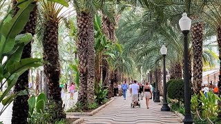 Conheça a Avenida Principal de Alicante na Espanha [upl. by Eahsal990]