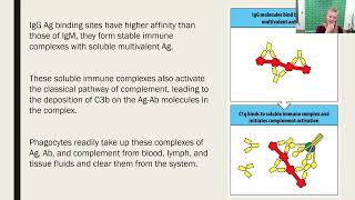 HumoralMediated Immunity  Part 4 2023 Update [upl. by Ajet]