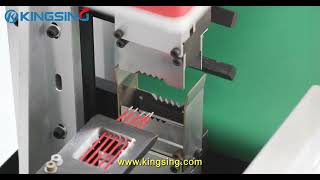 Automatic Laser Wire Stripping Machine [upl. by Wernher862]