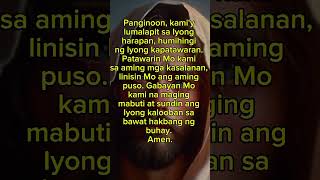 Panginoon patawarin mo po kami sa aming mga kasalanan prayer music shorts [upl. by Yesnil196]