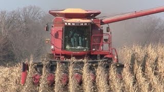 Galusha Farm  Case IH 2388 Combine on November 15 2012 [upl. by Yehs]