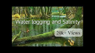 Water logging and Salinity  Causes Effects and Reclamation  UrduHindi [upl. by Clarine]