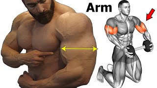 14 Best Workout To Get Big And Perfect Arms [upl. by Laura729]