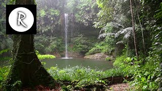 10 Hrs Rainforest amp Rain for Relaxing Nature Sounds for Sleep Meditation Insomnia SPA Study [upl. by Aisanahta]