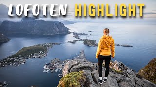 LOFOTEN • Schönster Ort in Norwegen amp Reinebringen Wanderung  VLOG 601 [upl. by Ressay419]