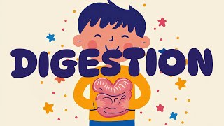 🎵 Digestive Journey  Fun and Educational Song for Kids 🎵 [upl. by Philip]