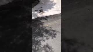 Benissa Costa Video Before Resin Bound Driveway Installed [upl. by Anisah]