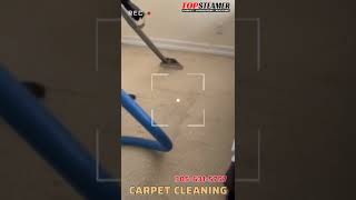 Satisfying Berber Carpet Steam Cleaning in Kendall 3056315757 [upl. by Morris752]