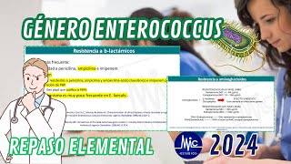 RM24 Antimicrobianos Género Enterococcus Est MyC [upl. by Keldon473]