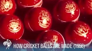 How Cricket Balls Are Made 1956  British Pathé [upl. by Adiari]