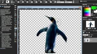 How to use paintshop pro combining pictures [upl. by Gadmann]