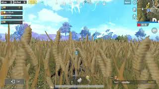 Pubg throwable kill and winner [upl. by Tugman]