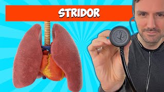 Stridor Lung Sounds For Beginners 🔥🔥🔥 lungsounds [upl. by Grider]