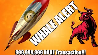 DOGE About To Make Us RICH MASSIVE WHALE ALERT [upl. by Nebra497]