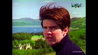 Lloyd Cole And The Commotions  Forest Fire Official Music Video Remastered [upl. by Jaffe254]