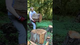 🧿Immensely satisfying overcoming a wood challenge with your axe [upl. by Luis]