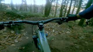 Forest of Dean  Wild Trails  Autumnal Bliss  Nukeproof Giga chasing Santa Cruz 5010 [upl. by Tifanie]