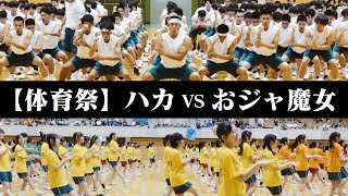 学年演技の雰囲気が男女で違いすぎる笑 [upl. by Yelrebma58]