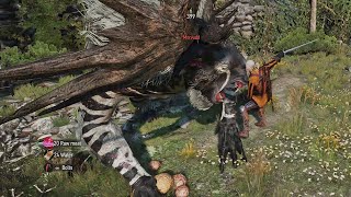 Witcher 3 Wild Hunt  Morvudd Boss Fight [upl. by Ecnarwal317]