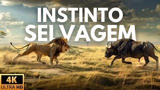 SERENGETI  O CORAÇÃO INDOMÁVEL DA SAVANA  Documentário Completo [upl. by Remark]