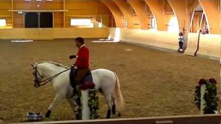 Lusitano Julio Borba Show [upl. by Anoli]