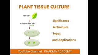 Plant Tissue Culture [upl. by Inafets]