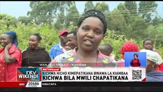 Kichwa bila mwili chapatikana bwawa la Kiambaa [upl. by Anod]