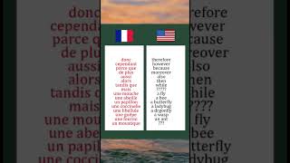 Quiz learning fun anglaisfacile anglaisvsfrancaisapprendresuryoutube [upl. by Atorod]