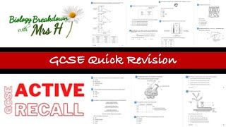 GCSE Quick Revision Questions  Active Recall [upl. by Bullivant]