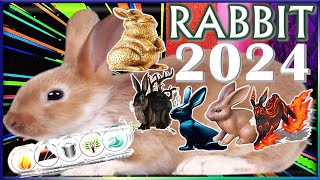 Rabbit Horoscope 2024  Wood Fire Earth Metal Water [upl. by Asenav]