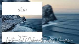 aha  True North Extended Mollem Studios Version [upl. by Enirak]