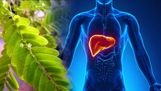 Liver Formula NEW IMPROVED why your liver is SO important [upl. by Ebeohp448]