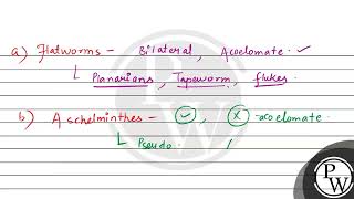 Bilaterally symmetrical and acoelomate animals are exemplified by [upl. by Anilat]