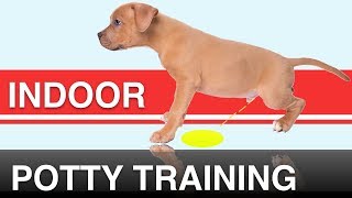 How to Indoor Potty Train your Dog with the Potty Training Puppy Apartment [upl. by Enilorac]