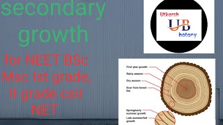 secondary growth and periderm [upl. by Netsirc]