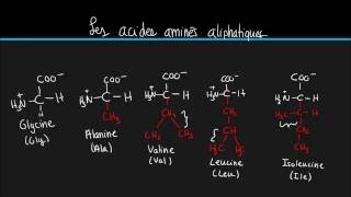 Biochimie 2 Les 20 acides aminés principaux [upl. by Seto]