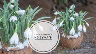 Snowdrops in COCONUT  PAPER FLOWERS  Подснежники в КОКОСЕ  БУМАЖНЫЕ ЦВЕТЫ  DIY TSVORIC [upl. by Siskind]