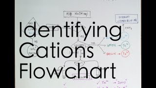 Flowchart for Identifying Cations [upl. by Sarnoff193]