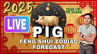 PIG FENG SHUI ZODIAC 2025 FORECAST LIVE [upl. by Chas]