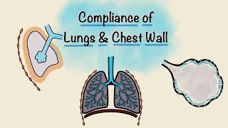 Respiratory System Introduction  Part 2 Bronchial Tree and Lungs  3D Anatomy Tutorial [upl. by Mohammad]