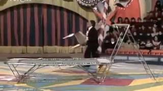 Jumping Jack I Trampoline 1980 [upl. by Melas342]